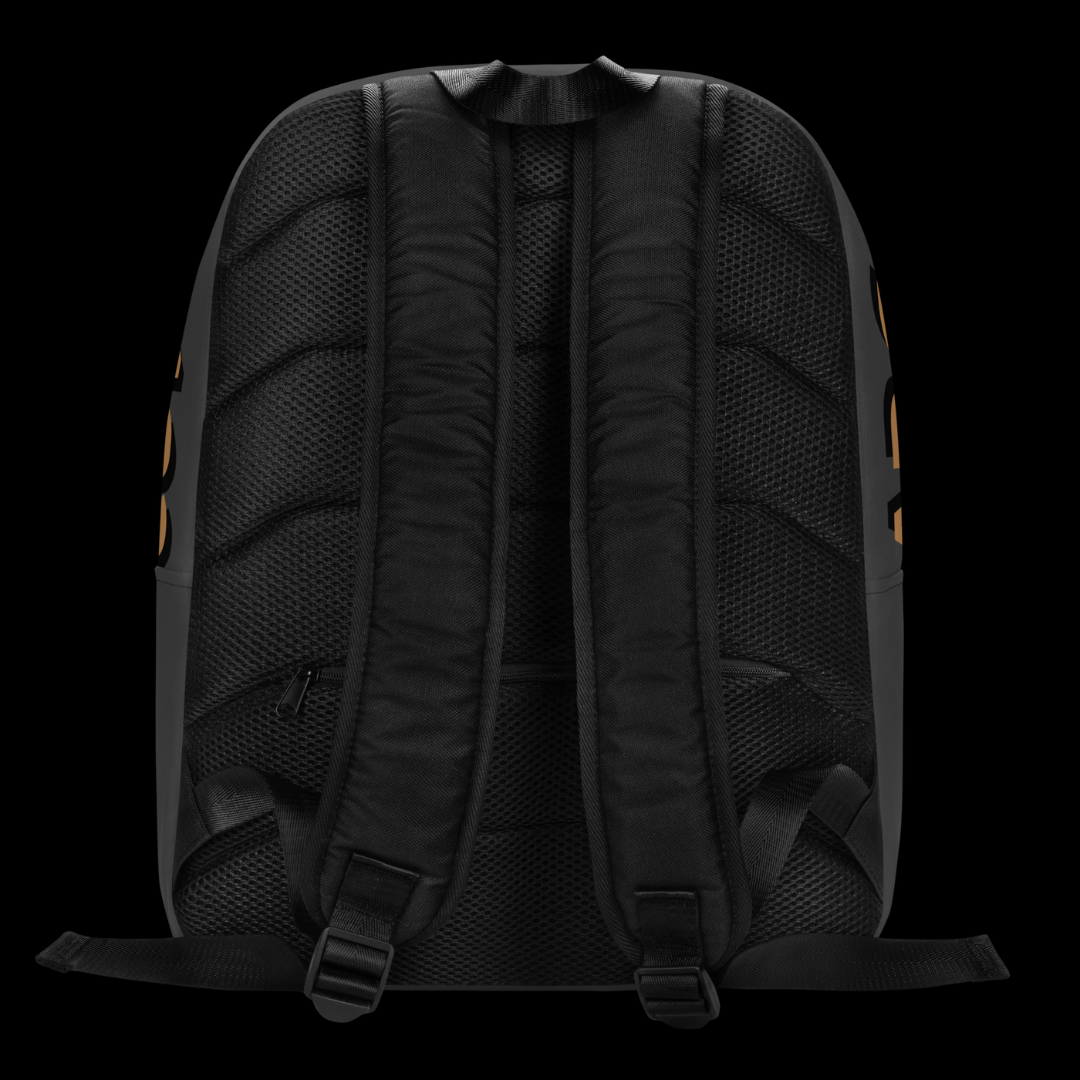 The "Princess ABC and 123" Minimalist Backpack (Eclipse)